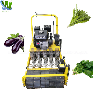 Agricultural electric vegetable seeder machine manual garlic onion chili peppers seed carrot planter tomato sowing machine for sale
